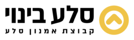 סלע בינוי